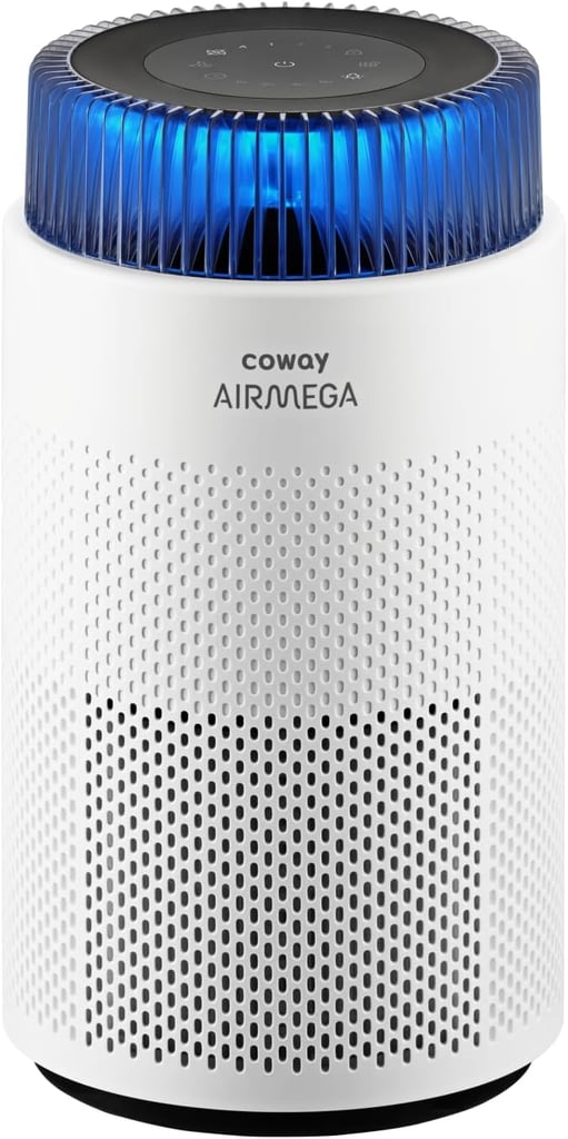 Airmega 100
