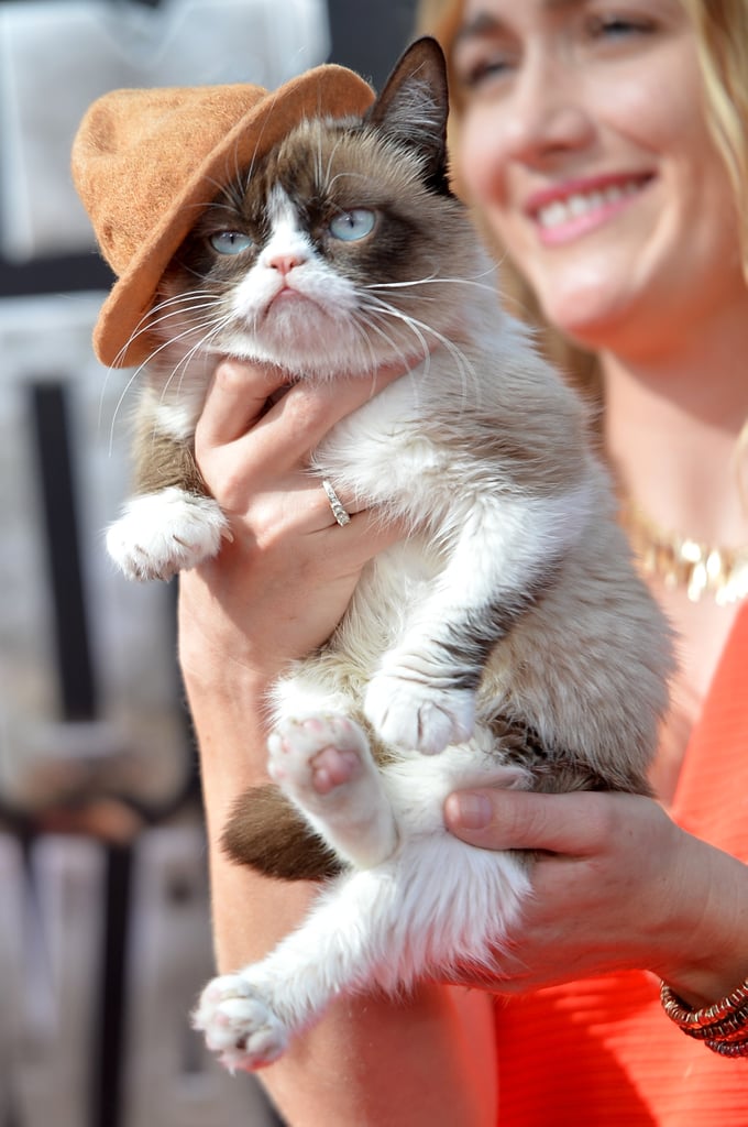 Grumpy Cat in Pharrell's Hat at the MTV Movie Awards 2014