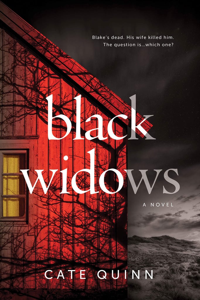 Black Widows by Cate Quinn