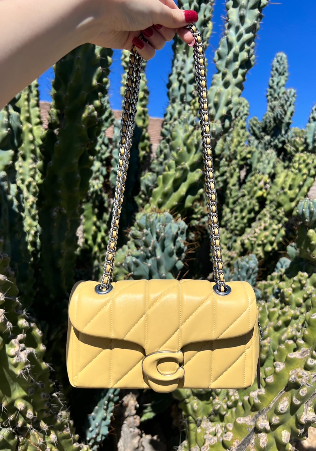 Coach tabby yellow online