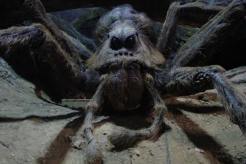 Julian Glover as Aragog