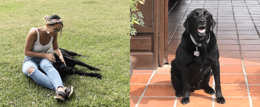 How I Said Goodbye to My Dog