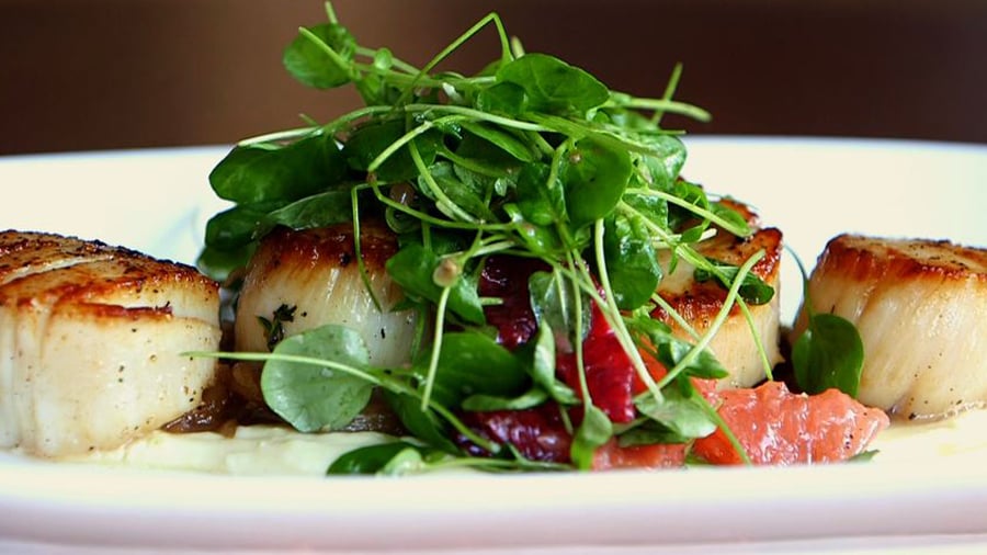 Seared Scallops With Parsnip Puree