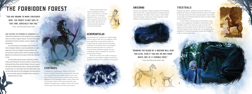 Find fun facts and tidbits about creatures lurking in the Harry Potter universe.