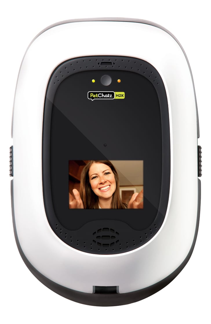 PetChatz HDX Pet Camera Nordstrom s Newest Pop Up Shop For Pets