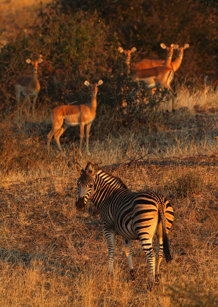 Mapungubwe, Botswana