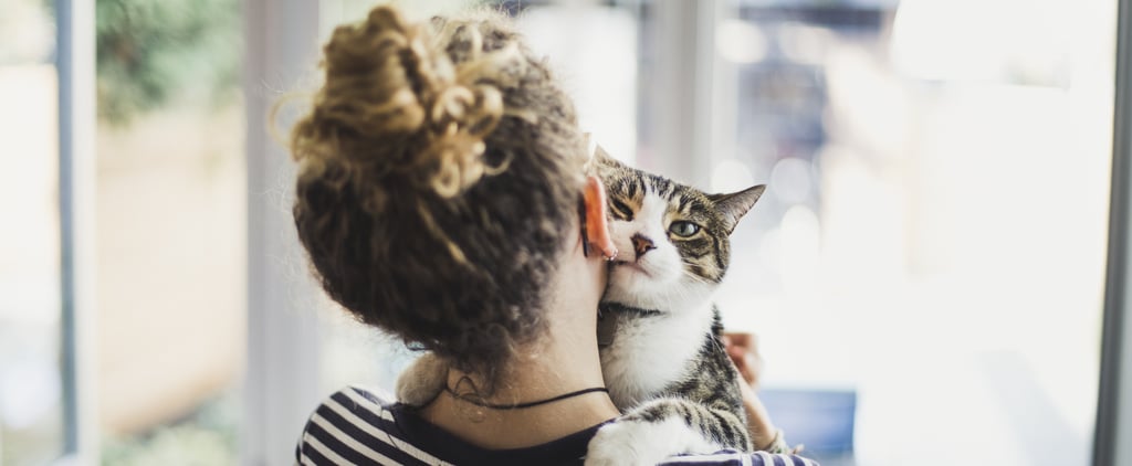 What It's Like to Put a Pet to Sleep