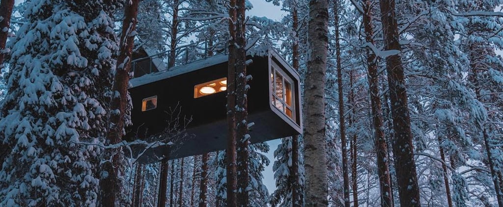 Treehotel in Sweden Photos