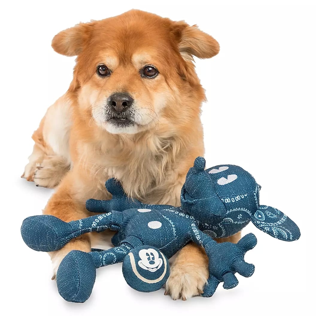 minnie mouse dog walking toy