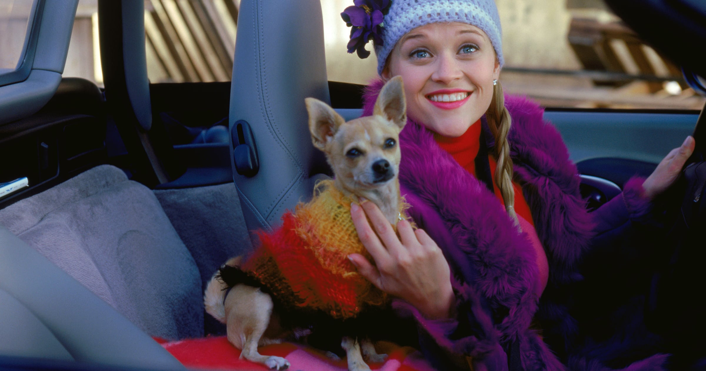 30 Movies Like Legally Blonde PS Entertainment