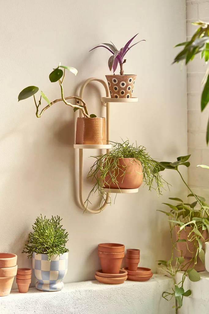 For the Wall: Wall Mounted Plant Stand