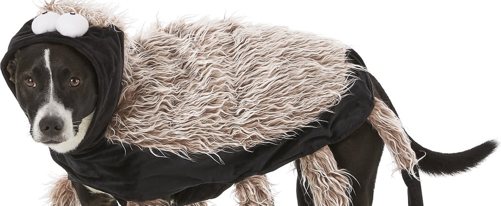 Funny Tarantula Dog Costume For Halloween