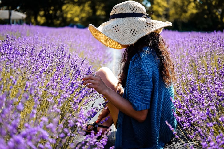 Gardening Tips For Beginners Popsugar Food