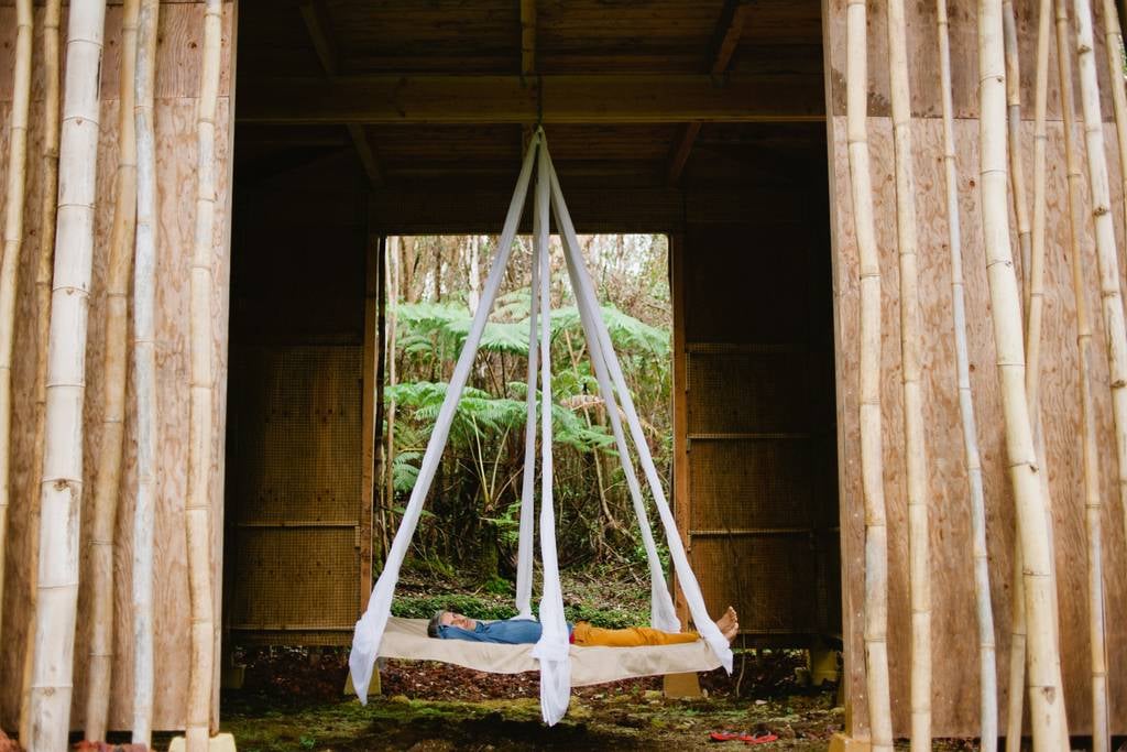 Tree House in Hawaii