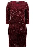 Dorothy Perkins Pink Velvet Sequin Bodycon Dress