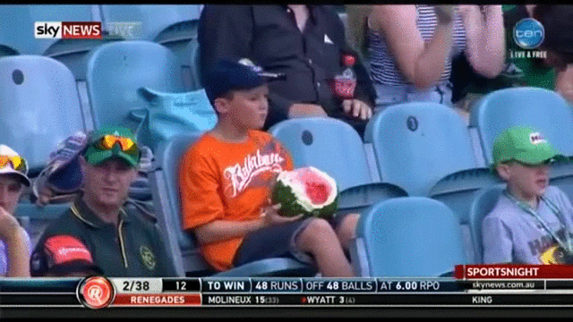 Watermelon Warrior