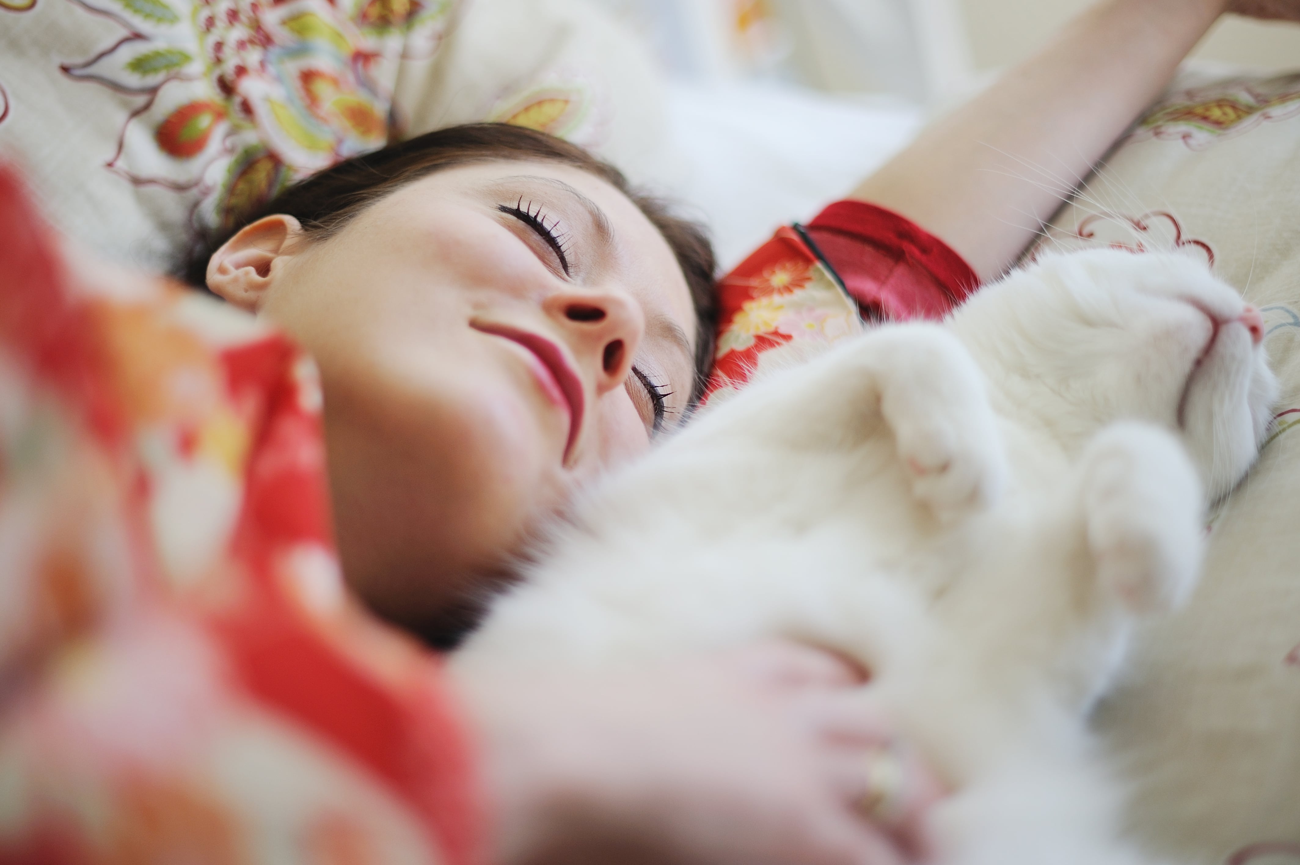 Why Does My Cat Sleep on Me? POPSUGAR Pets