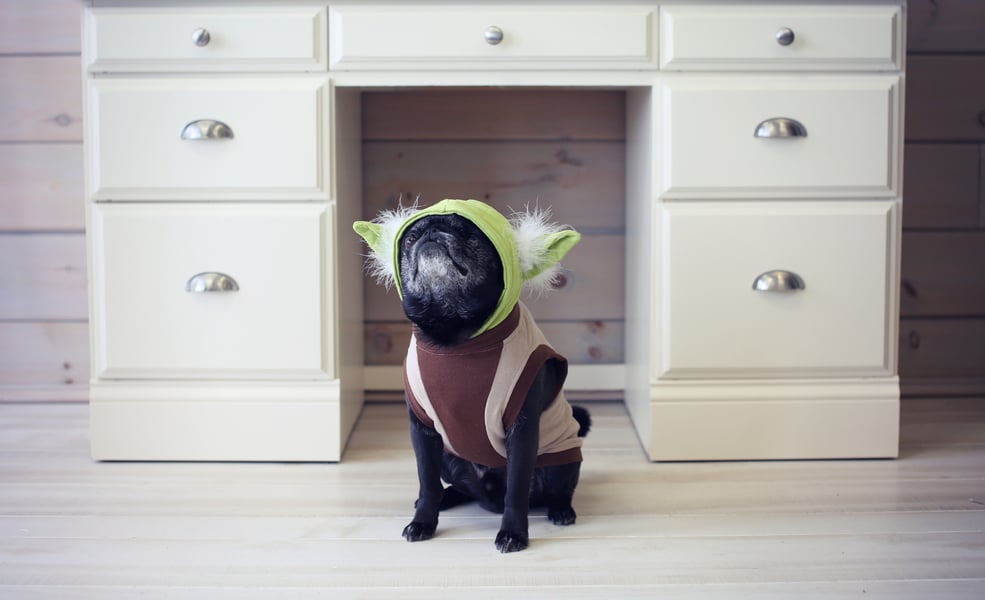 Star Wars Kid Party Ideas
