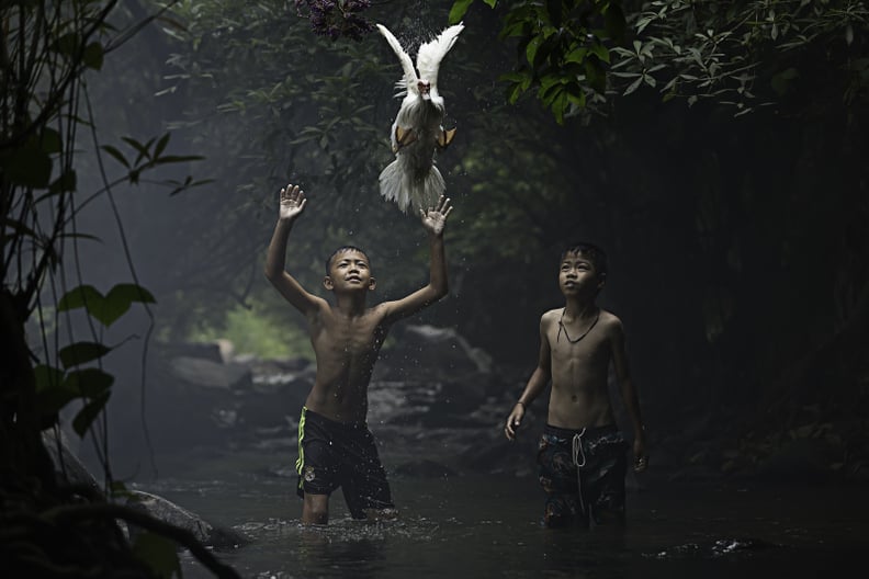 Merit Winner — Catching a Duck