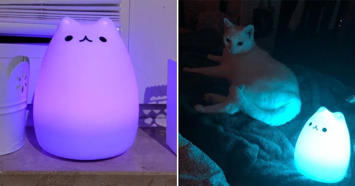 A Color-Changing Cat Lamp Exists, and It's So Cute! | PS Home