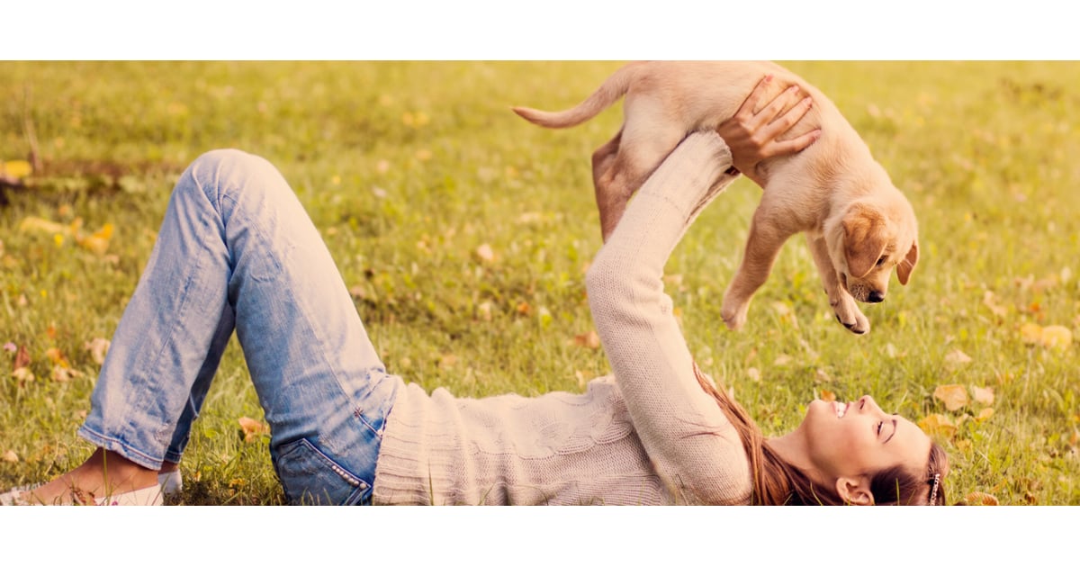 Funny Questions People Ask About Dogs | POPSUGAR Pets