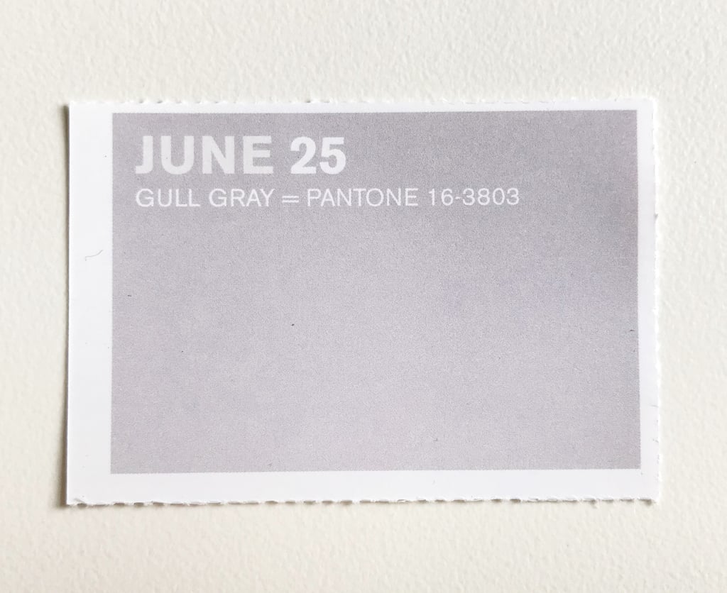 June 25 - Gull Gray