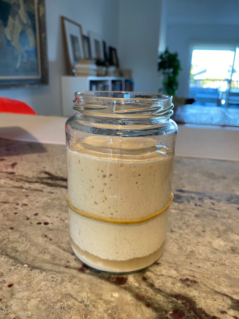 Sourdough Starter Day 3