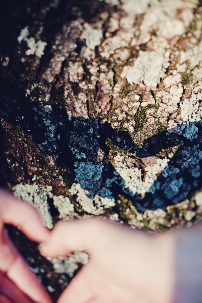 Military Engagement Photos