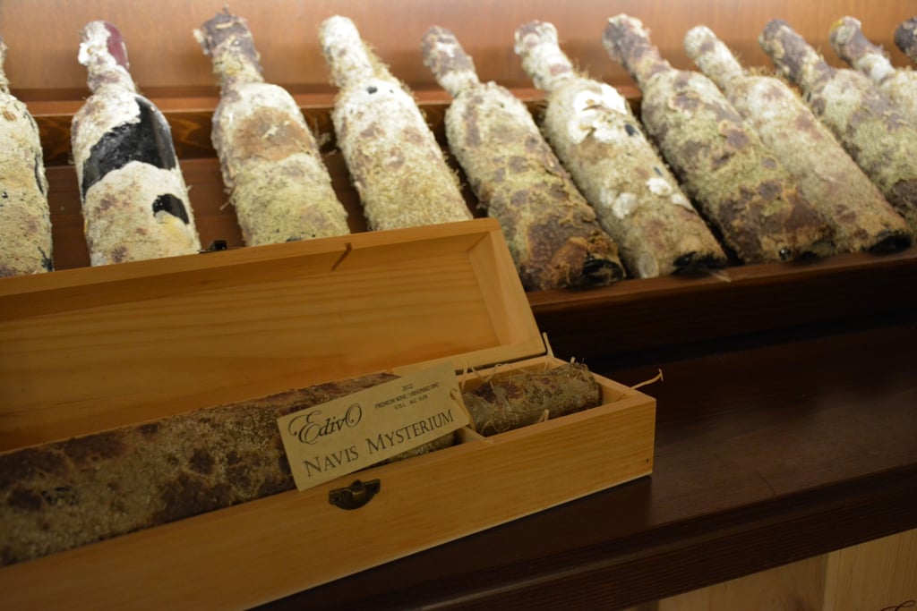 Edivo Vina Underwater Winery in Croatia