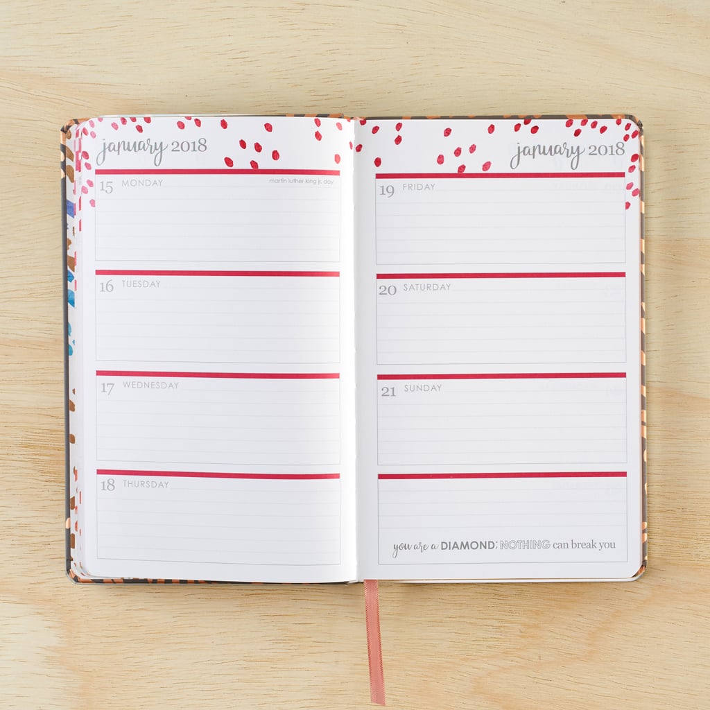 Erin Condren 2018 Hardbound Life Planner