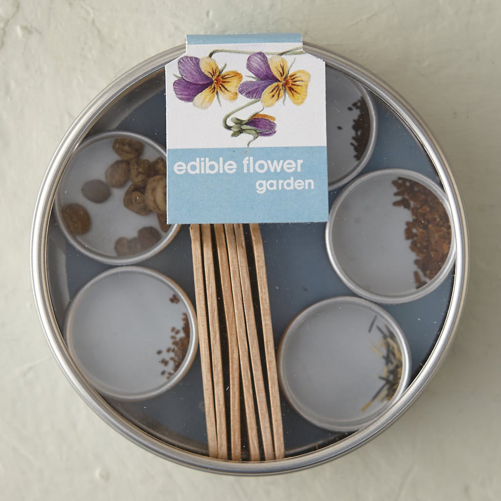 Edible Flower Garden Kit | Best New Food Products | May 2015 | POPSUGAR