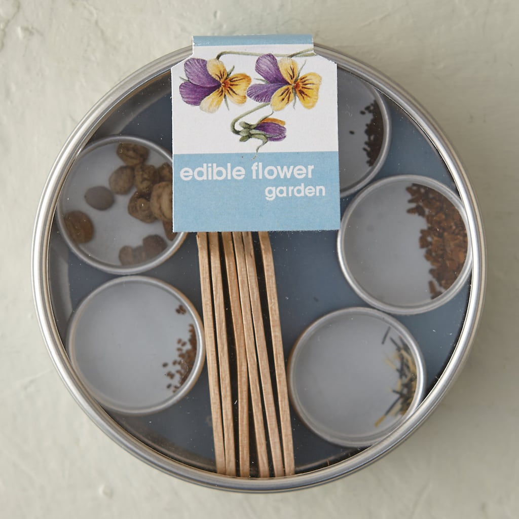 Edible Flower Garden Kit Best New Food Products May 2015 POPSUGAR Food Photo 4