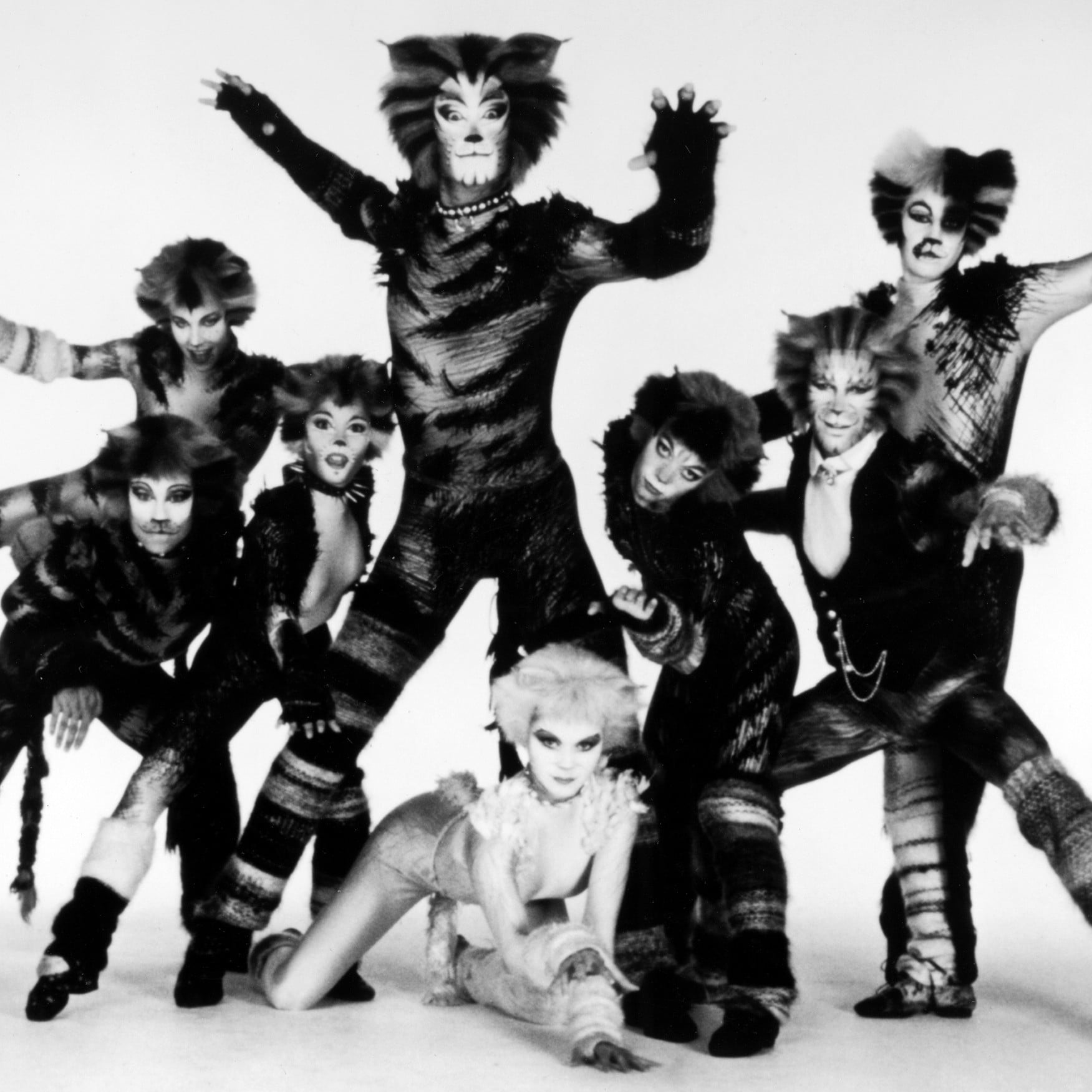 Cats Musical Cast Without Makeup Saubhaya Makeup
