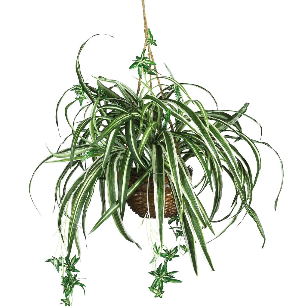 Nearly Natural Spider Hanging Basket Silk Plant