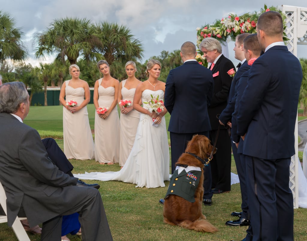 Dog Is Best Man at Wedding