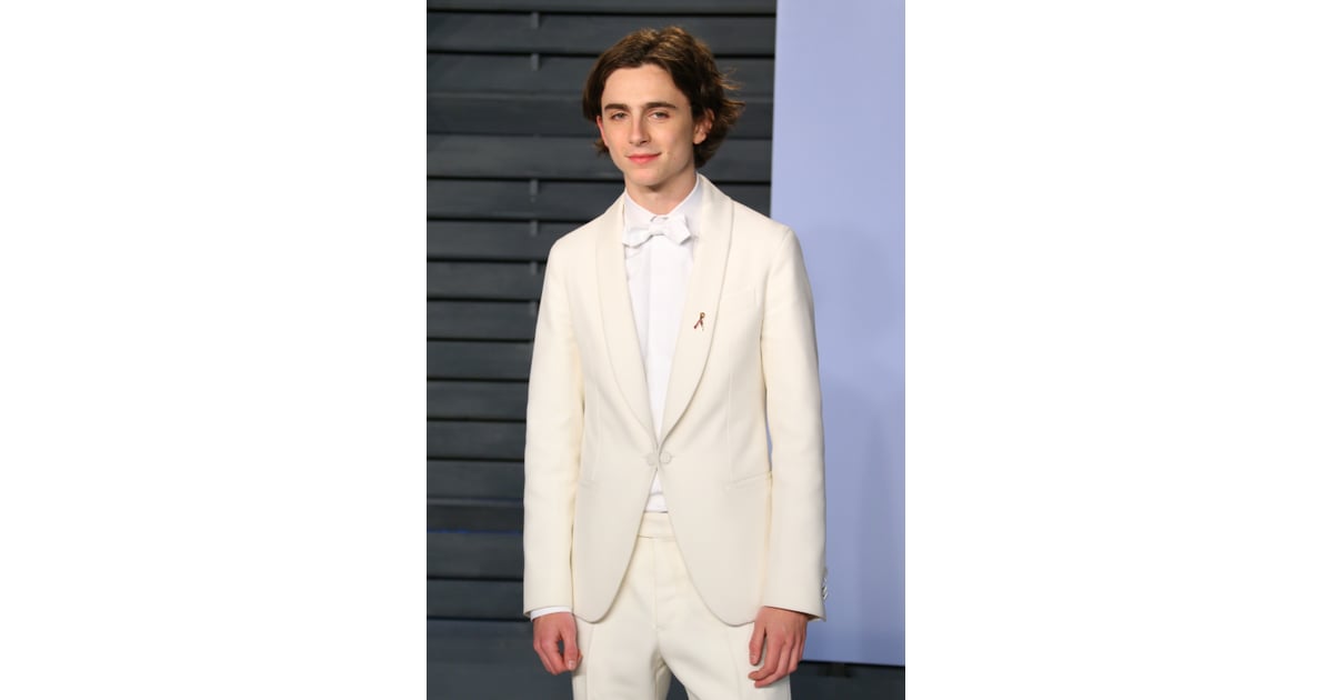 timothee chalamet pop funko