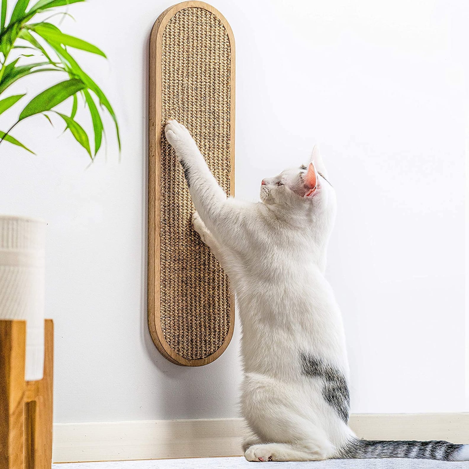 Best Problem-Solving Products For Cat Ownder | PS Pets