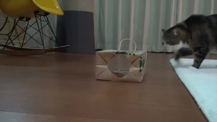 I like this bag. It's a good resting place.