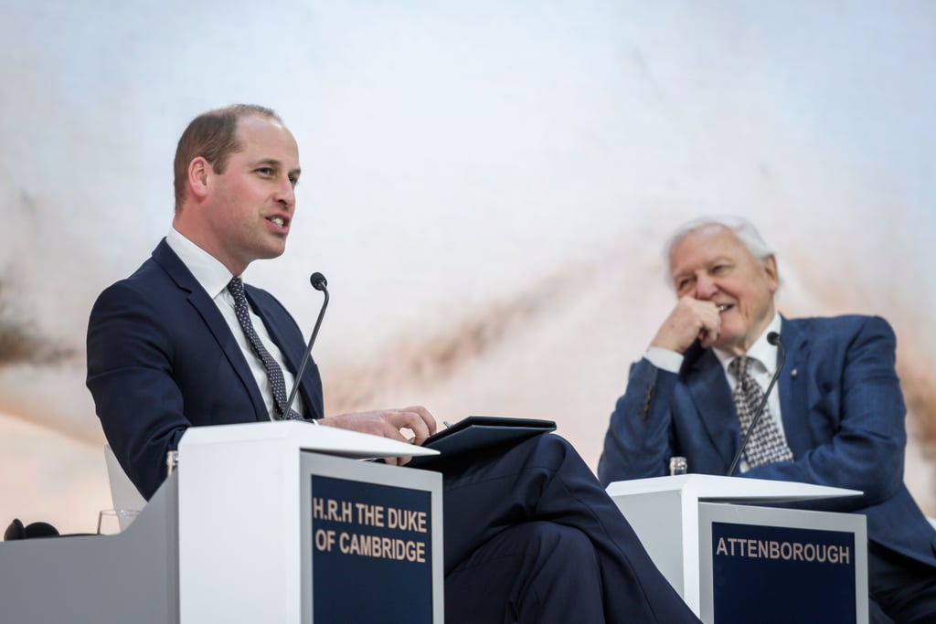 Prince William Talks With David Attenborough January 2019