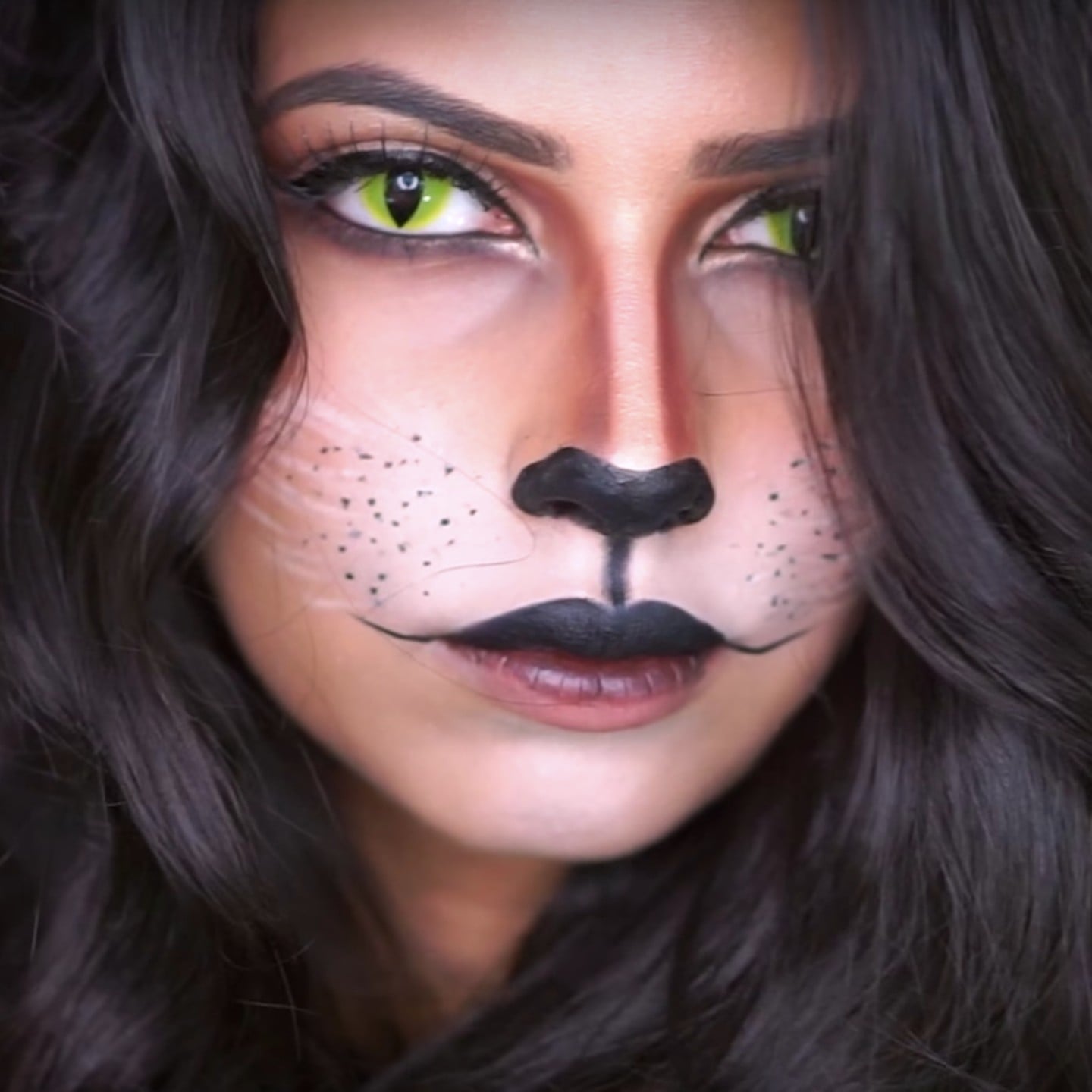Learn How to Create an Easy Cat Makeup Look for Halloween Using