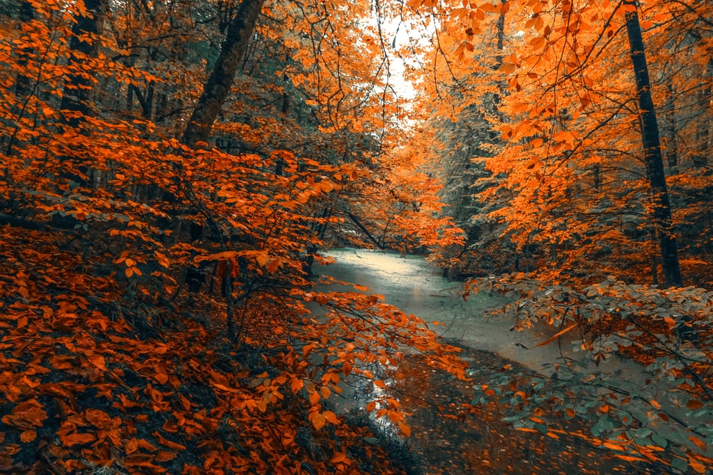 20 Beautiful and Cosy Fall Computer Backgrounds