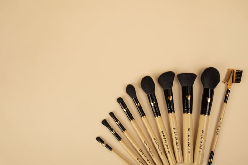 Spectrum 10 Piece Brush Set In Eva