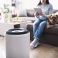 The 13 Best Air Purifiers on Amazon — Starting at Just $40