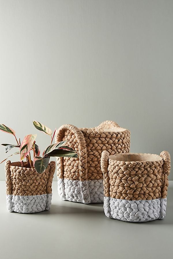 Color Dip Pots