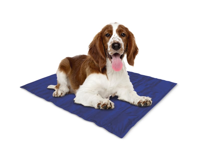 Summer Pet Shopping Aldi Cooling Mats and Bandanas For Dogs POPSUGAR