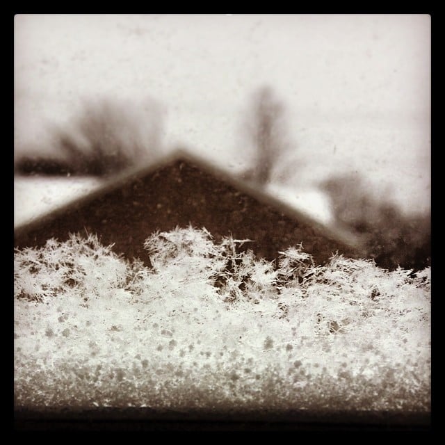 Snowflakes! 
Source: Instagram user theoddbroad
