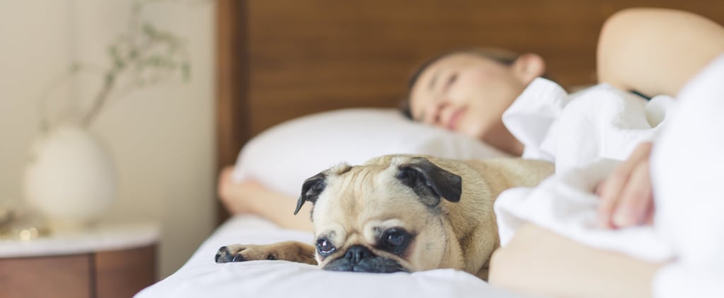 Do You Lose Weight in Your Sleep?