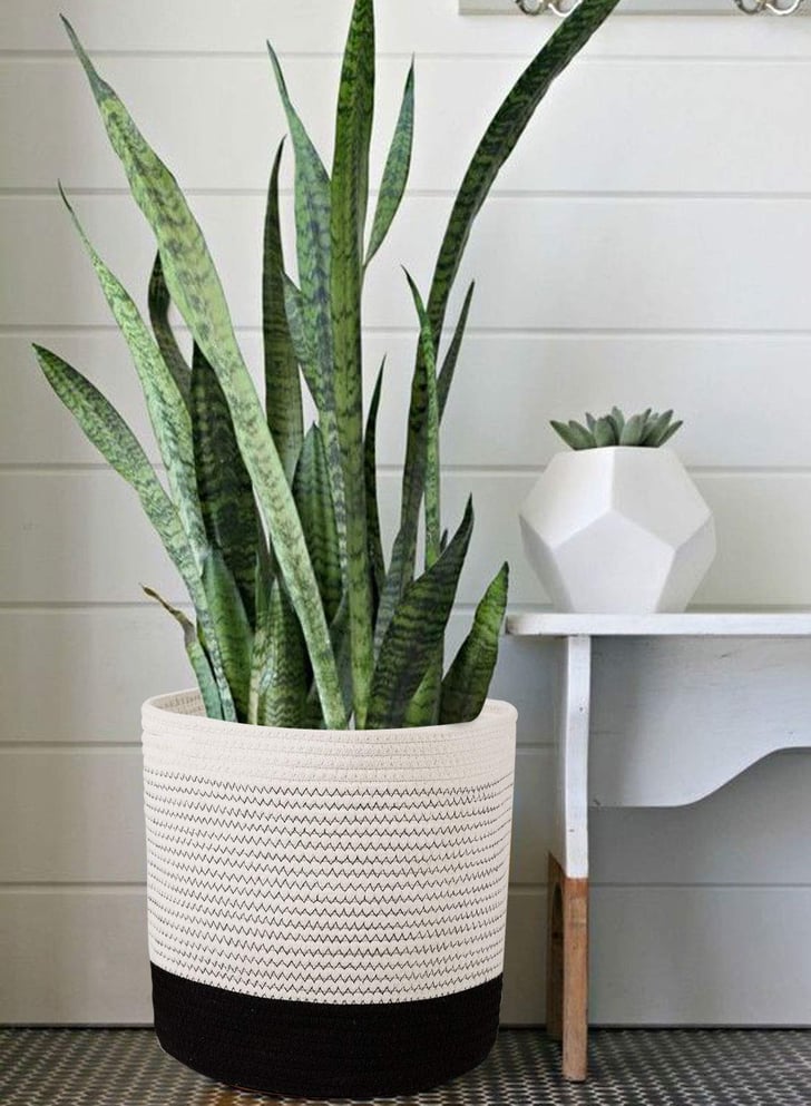 Woven Cotton Rope Plant Basket The Most Affordable and Stylish Home