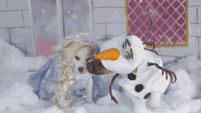 psst-do-you-want-to-build-a-snowman-dog-gifs-popsugar-tech