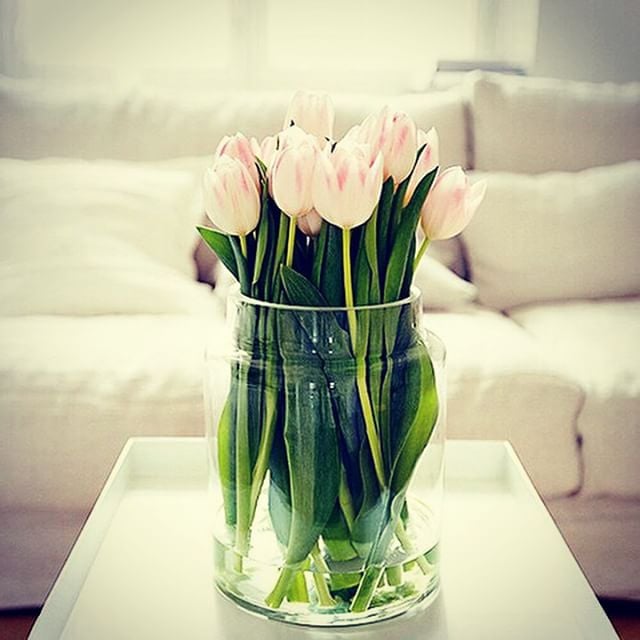 The vase is stuffed to the brim with tulips, a different take on scale. 
Source: Instagram user cute1743